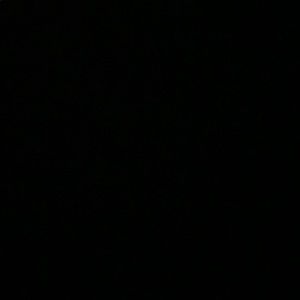 Meet your Posher, Keisha